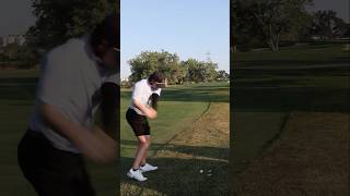 A case of the TOPS golf mulliganmasters shorts [upl. by Zulch788]