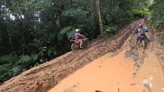 Trilha Blumenau sc  CHUVA  lama e roiadas [upl. by Ylloj]