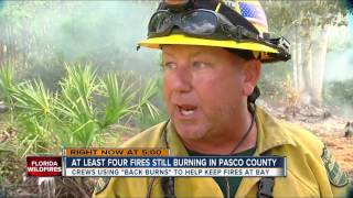 Crews using back burns to help keep fires at bay in Pasco Co [upl. by Noy]