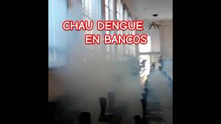 ❌️BASTA❌️ DE 🦟DENGUE🦟 controldeplagas pestcontrol mosquitos dengue [upl. by Diarmuid]