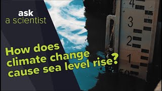 How does climate change contribute to sea level rise  Ask A Scientist [upl. by Maddalena]