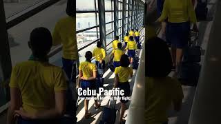 Cebu Pacific crew boarding their A330neo flight [upl. by Peggir128]