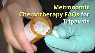 Metronomic Chemotherapy FAQS for Tripawds [upl. by Ilsel]