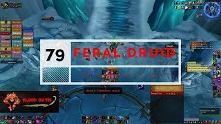 WOW Feral Bear Tank LOD  79 WOTLK PVE POV 335 [upl. by Vashtia]