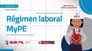 Régimen laboral Mype [upl. by Aday211]