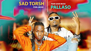 Pallaso  TEWEKOYA ft Sad Torsh [upl. by Lathrope616]