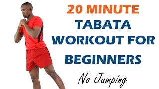 Tabata Workout for Beginners No Jumping 20 Minute Weight Loss Tabata [upl. by Zephaniah]