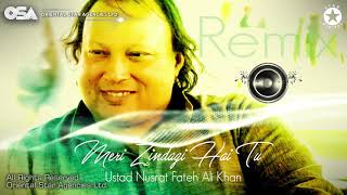 Meri Zindagi Hai Tu Remix  Nusrat Fateh Ali Khan  official HD video  OSA Worldwide [upl. by Harima]