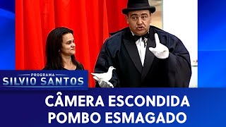 Pombo Esmagado  Câmeras Escondidas 151119 [upl. by Nahttam943]