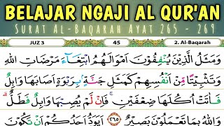 BELAJAR MENGAJI SURAH AL BAQARAH JUZ 3 AYAT 265  269 merdu dan mudah [upl. by Emirej187]