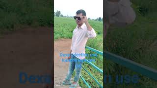 dexa injection kab use Kiya jata hai docters namaste short video [upl. by Rowe281]