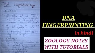 DNA FINGERPRINTING IN HINDI dnafingerprintingnotes zoologynotes bsc2ndyearzoology msczoology [upl. by Aserej]