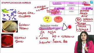 Microbiology LRR  Dr Preeti Maam  INICETFMGE NEETPG [upl. by Frankel]