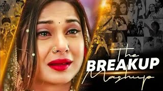 THE BREAKUP 💔 MASHUP SONG SLOWE AND REVERB  Best Of Breakup Mashup 2024 😭 lofi lyrics sadsong [upl. by Auqemahs]