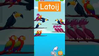 Cat song and birds dance fingersmagic animalsong comedy magicfingersindia funny [upl. by Aig]