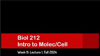 CSULB Biol 212 Fall 2024  Week 11 Lecture 1 [upl. by Etti]