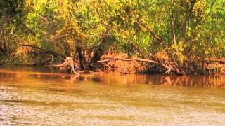 Un paseo por el Rio Grijalva Villahermosa Tabasco México [upl. by Aggappe454]