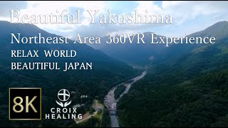 【Beautiful Yakushima Island】Northeast Area 360VR Experience Soothing Moments BGM amp BGV [upl. by Ennayar126]