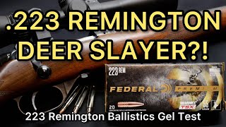 223 DEER SLAYER 223 Remington Federal Premium Barnes TSX 55gr Ammo Test [upl. by Katleen]