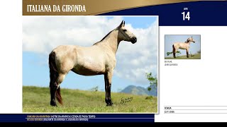 14 Italiana da Gironda [upl. by Steffen]