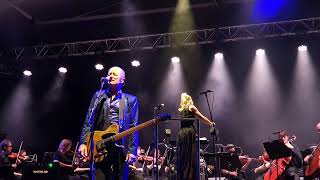 Hoodoo Gurus Canberra Symphony Orchestra My Girl [upl. by Darce]