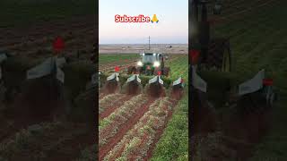 Best Agreecalture Farming Equipment 👌shorts farming agreeculture trending viralvideo farmer 👌👍 [upl. by Layod]