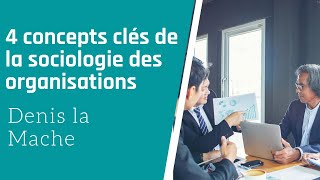 4 concepts clés de la sociologie des organisations [upl. by Steep]