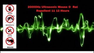 Ultrasonic Mouse and Rat Repellent 12 Hours  20000Hz  No ads [upl. by Brent]