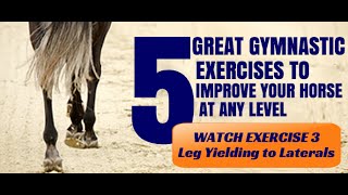 5 Great Gymnastic Exercises to Improve Your Horse  Exercise 3 Leg Yielding to Laterals [upl. by Adekam664]