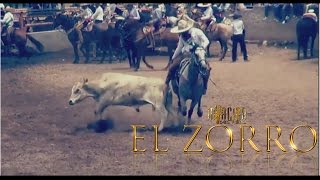 El ZORRO  INVACION DEL REAL [upl. by Aronoh603]