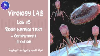 Virology lab  Lab5 Rose bengal test  Complement Fixation test [upl. by Nidak]