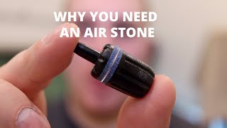 Do You Need An Air Stone In Your Aquarium [upl. by Massab]