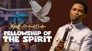 THE FELLOWSHIPS OF THE SPIRIT  Apostle Michael Orokpo [upl. by Ellienad]