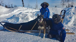 Winter Camping in Alaska with a Sled Dog Team [upl. by Lirret]