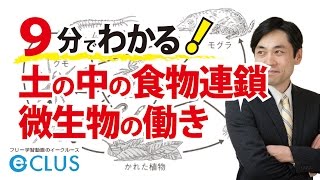 土の中の食物連鎖・微生物の働き 中学理科3年2分野 自然と人間2 [upl. by Hardie]