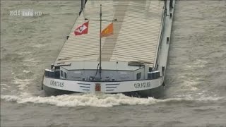 Doku Leben auf dem Fluss  Vom Rhein zur Donau HD [upl. by Chavaree]