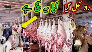 Anari Kasai 2024 Slaughter house bhains colonfull exposed Biggest Slaughter House in Pakistan [upl. by Nylirehc]