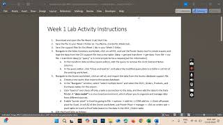 Week 1 Lab Activity Instructions  Analytics and Data Management [upl. by Bravin]