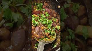 Mini Vlog Day 14 Cooking Soya Chilli amp Paratha Feast🍛 ll Vishal Journeyquotlldailyvlog minivlog [upl. by Dahsra]