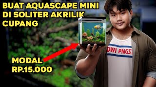 REVIEW AQUASCAPE MINI SOLITER [upl. by Peedsaj]