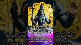 రుద్ర మంత్ర Rudra mantra om namah shivaya mahadevys har song shiva yt song viralvideo [upl. by Eimorej]