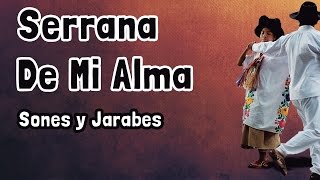 Serrana De Mi Alma ⇛ Sones y Jarabes ⇚ Banda Filarmónica Aires Oaxaqueños [upl. by Sada]