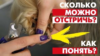 Когти у собак  сколько можно отстричь Лучшее видео по стрижке когтей [upl. by Janaya653]