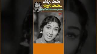 చక్కని పాపా చల్లని పాపా Chakkani papa Song  Karpoora Harati Movie vanisri shorts youtubeshorts [upl. by Sopher]