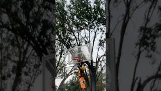 Dunking nbastar dunk tennisball basketball fypシ゚viral subscribe shorts [upl. by Redep]