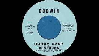 ROSEBUDS Hurry Baby 1962 [upl. by Naig]