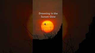 Drowning in the sunset glow sunset shortsfeed youtubeshorts asthetic scenery [upl. by Manthei]