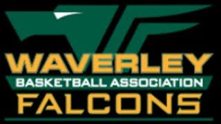 Waverley Basketball BigV VYC Men Live Stream [upl. by Ashleigh]