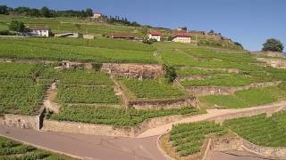 Flying over the Lavaux with a drone Switzerland [upl. by Oek]