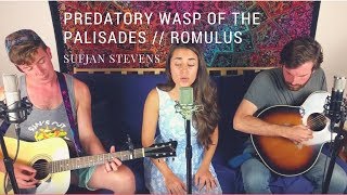 Predatory Wasp amp Romulus  Sufjan Stevens  Benjy Camille amp Jared [upl. by Orelu]